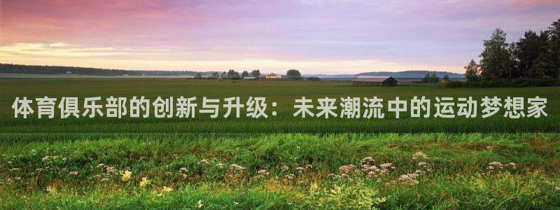 公海赌赌船官网下载平台APP：体育俱乐部的创新与升级：未来潮
