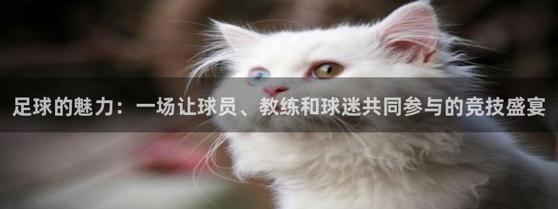公海赌赌船官网下载是干嘛的公司：足球的魅力：一场让球员、教练