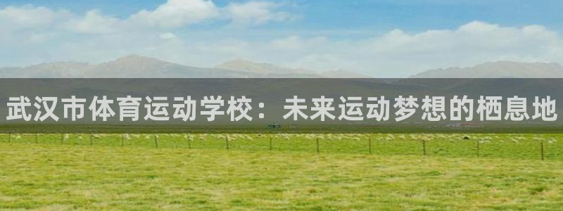 公海赌赌船官网下载招商电话是多少号码：武汉市体育运动
