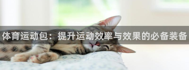 公海赌赌船官网下载联系电话：体育运动包：提升运动效率