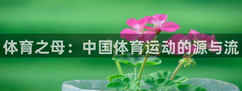 公海赌赌船官方正版app娱乐代理怎么样：体育之母：中国体育运