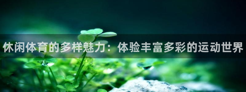 公海赌赌船官方集团官网：休闲体育的多样魅力：体验丰富