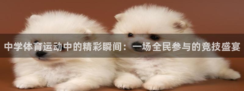 公海赌赌船官方正版app开户：中学体育运动中的精彩瞬