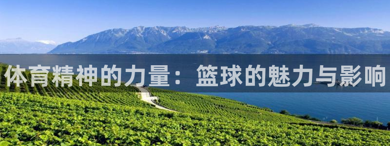 公海赌赌船官网下载平台假的吗是真的吗：体育精神的力量