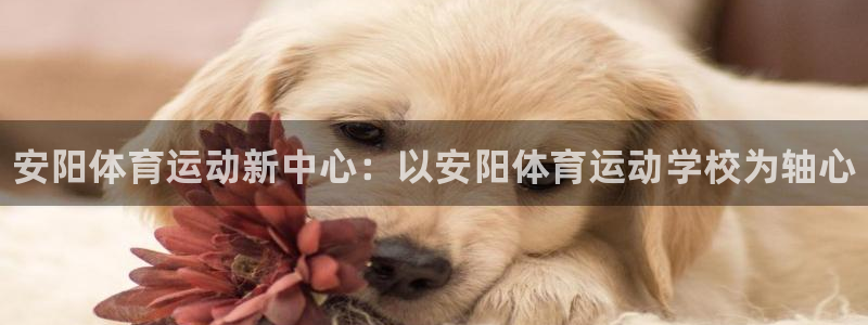 公海赌赌船官方正版app开户：安阳体育运动新中心：以安阳体育
