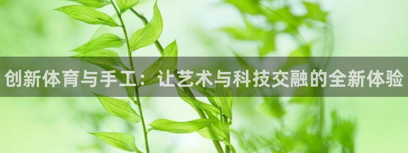 公海赌赌船官方正版app集团官网网址：创新体育与手工