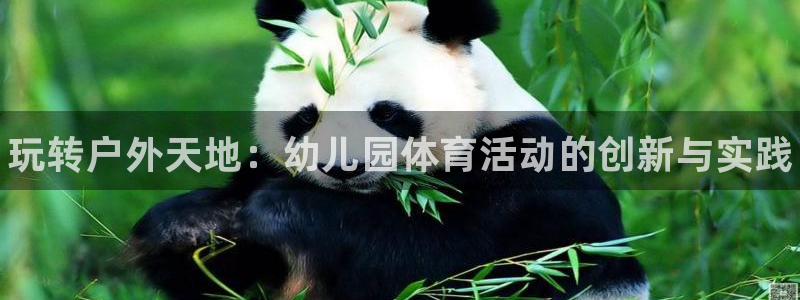 公海赌赌船官方正版app新能源：玩转户外天地：幼儿园