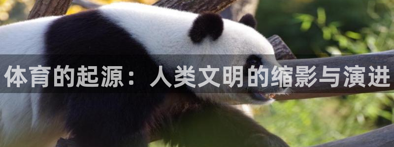 公海赌赌船官网下载招商电话号码