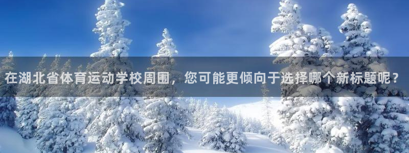 公海赌赌船官方正版app娱乐首页官网下载：在湖北省体