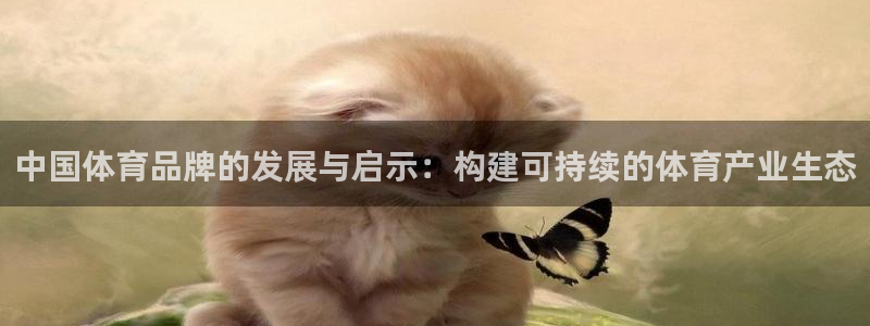 公海赌赌船官网下载招商电话是多少号码：中国体育品牌的发展与启