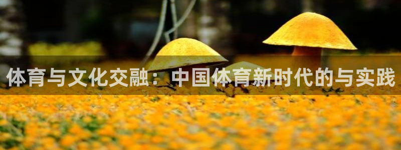 公海赌赌船官方正版app集团官网首页网址：体育与文化交融：中