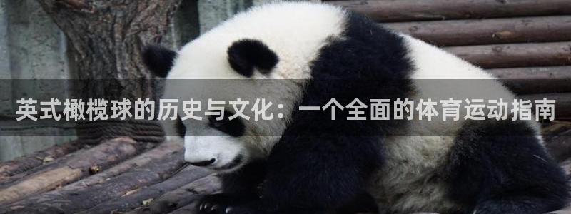 公海赌赌船官网下载平台APP：英式橄榄球的历史与文化：一个全