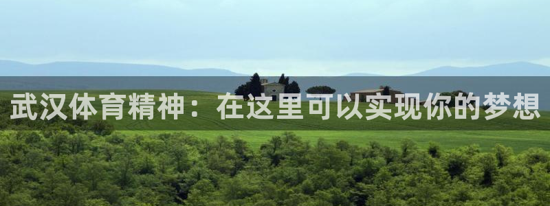 公海赌赌船官方正版app集团