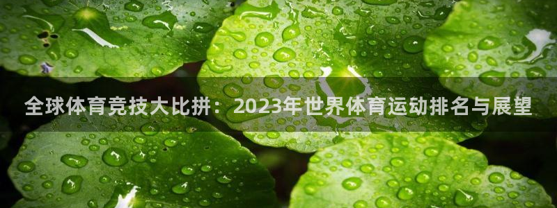 公海赌赌船官网下载平台APP：全球体育竞技大比拼：2023年